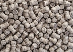 Poszter 70x50cm Pezsgős dugók, Assaf Frank