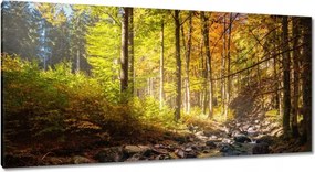 Festmények 115x55 Tájkép