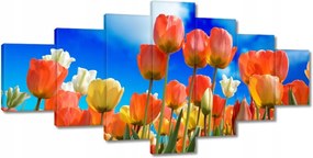 Vászonkép 210x100 Színes tulipánok Virágok