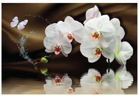 Tapéta orchidea és lepke