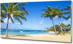 Fotó üvegkép Teaültetvény 125x50