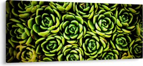 Sziklák képe (120x50 cm)