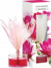 Bispol Aura aroma diffúzor Kaktuszvirág 50 ml