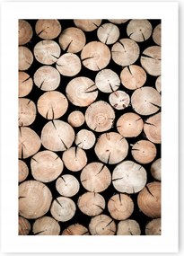 Boho Fa Természet Poszter B1 100x70cm #20K