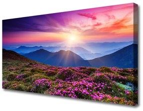 Canvas kép Sun Mountain Meadow Landscape 140x70 cm