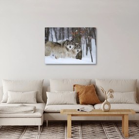 Kép - Farkasok télen (70x50 cm)