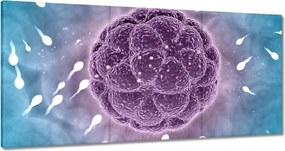 Festmények 120x60 Ne maradj le