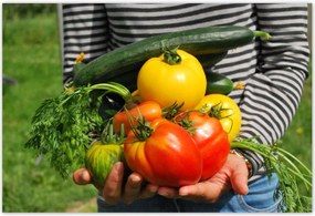 Poszterek 200x135 Konyhai képek Forradalmak