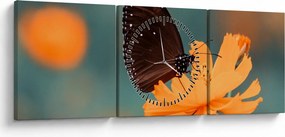 Kép - pillangó narancssárga virágon (órával) (90x30 cm)