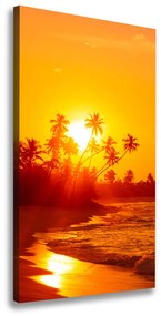 Feszített vászonkép Trópusi tengerpart ocv-112375136