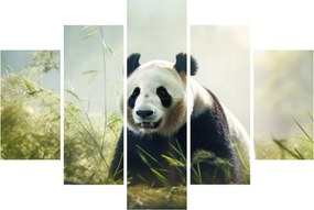 Kép - Panda (150x105 cm)