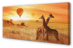 Canvas képek Lufi ég zsiráf 120x60 cm