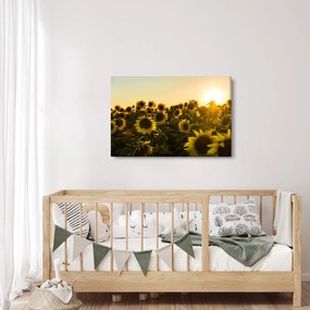 A napraforgó mező képe (90x60 cm)