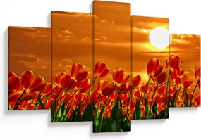 Kép egy virágzó mező tulipánokkal (150x105 cm)
