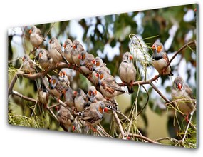 Üvegkép madarak Állatok 100x50 cm