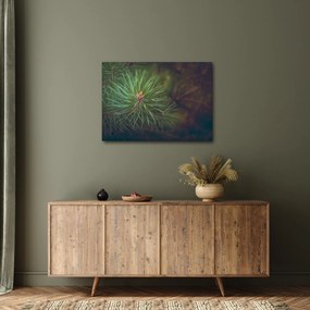 Kép - Fenyőfa részlete (70x50 cm)