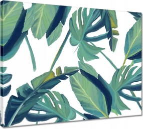 Vászonkép 50x40 Monstera Levelek levél