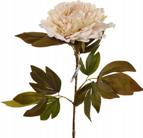 Peonia őszi ág krém-citrom-rózsaszín