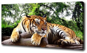 Vászonkép Tiger a rock oc-61968911