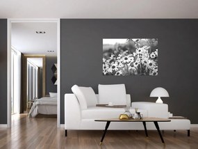 Kép - Százszorszépek (90x60 cm)