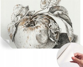 Dekoratív öntapadós fotótapéta irodába Alma levelek 416x254 cm