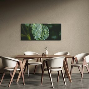 Kép - cseppek a levelen (120x50 cm)