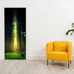 Fotótapéta ajtóra - Sötét erdő (95x205cm)