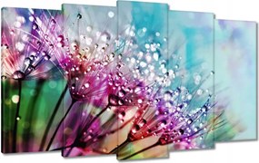 Vászonkép 100x60 Harmatcseppek Pitypang