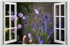 Poszterek 60x40 Levendula