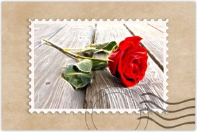 Poszterek 120x80 Kozmikus rózsa