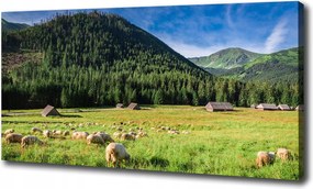 Vászonkép Bárányok a Tátrában 100x70 cm
