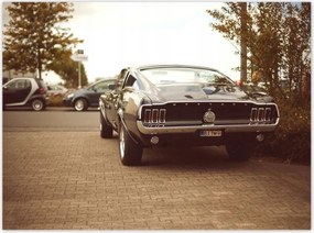 Plakátok 135x100 Ford Mustang Fekete-fehér