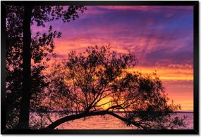 Poszterek keretben 60x40 Tó Fa Nyugat