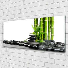 Fali üvegkép Bamboo gyönyörű grafika 125x50 cm