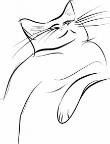 Poszter 40x50cm Macskaelégedettség vázlat