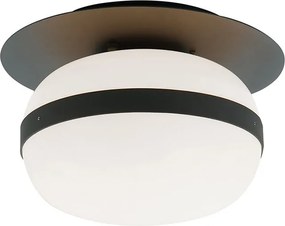 Mennyezeti Lámpa Fekete PALMA VIOKEF-4245700