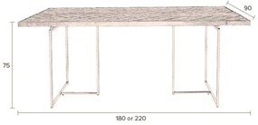 Aron étkezőasztal acél szerkezettel, 220 x 90 cm - Dutchbone