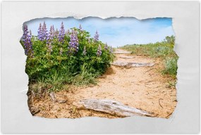 Poszterek 60x40 Lépcsők Virágok Rét