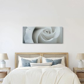 Kép - Fehér rózsa (120x50 cm)