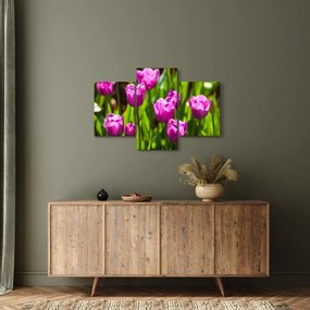 Tulipánok a réten képe (90x60 cm)