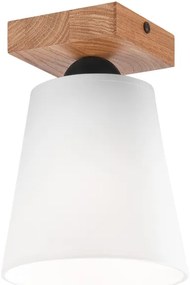 Felületre szerelhető csillár LULA 1xE27/60W/230V tölgy