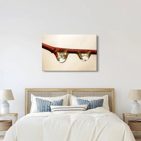 Vízcseppek a faágon képe (90x60 cm)