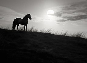 Poszter 18x13cm Holdőrség