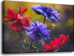 Botanika Virágok a kertben vászonkép 60x40 c