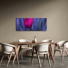 Tulipán bimbó képe (120x50 cm)