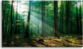 Vászonkép Erdő Fák Nap sugarai 90x60 cm Ajándéknak is tökéletes
