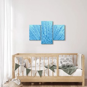 Kép - Makro felvétel egy virágról (90x60 cm)