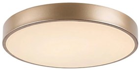 Rabalux Rabalux 71037 - TESIA LED mennyezeti lámpa 36W, 230V, 3000K RL71037