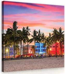 Vászonkép 40x40 Naplemente Miami Beach pálmafák óceán fényes trópusi tengerpart