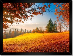 Poszterek keretben 40x30 Őszi táj